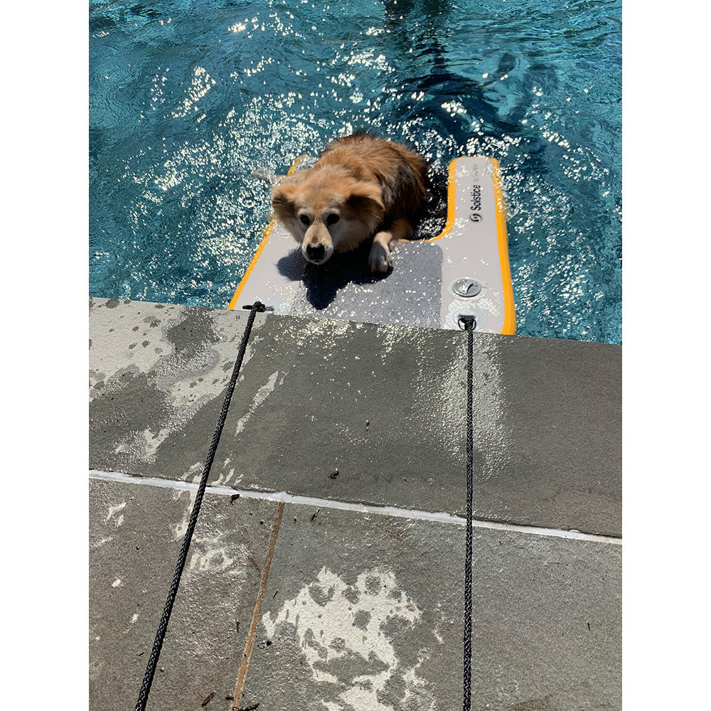 Solstice Watersports Inflatable PupPlank Dog Ramp - Mini [33424] - Premium Pet Accessories from Solstice Watersports - Just $160! Shop now at Boat Gear Depot