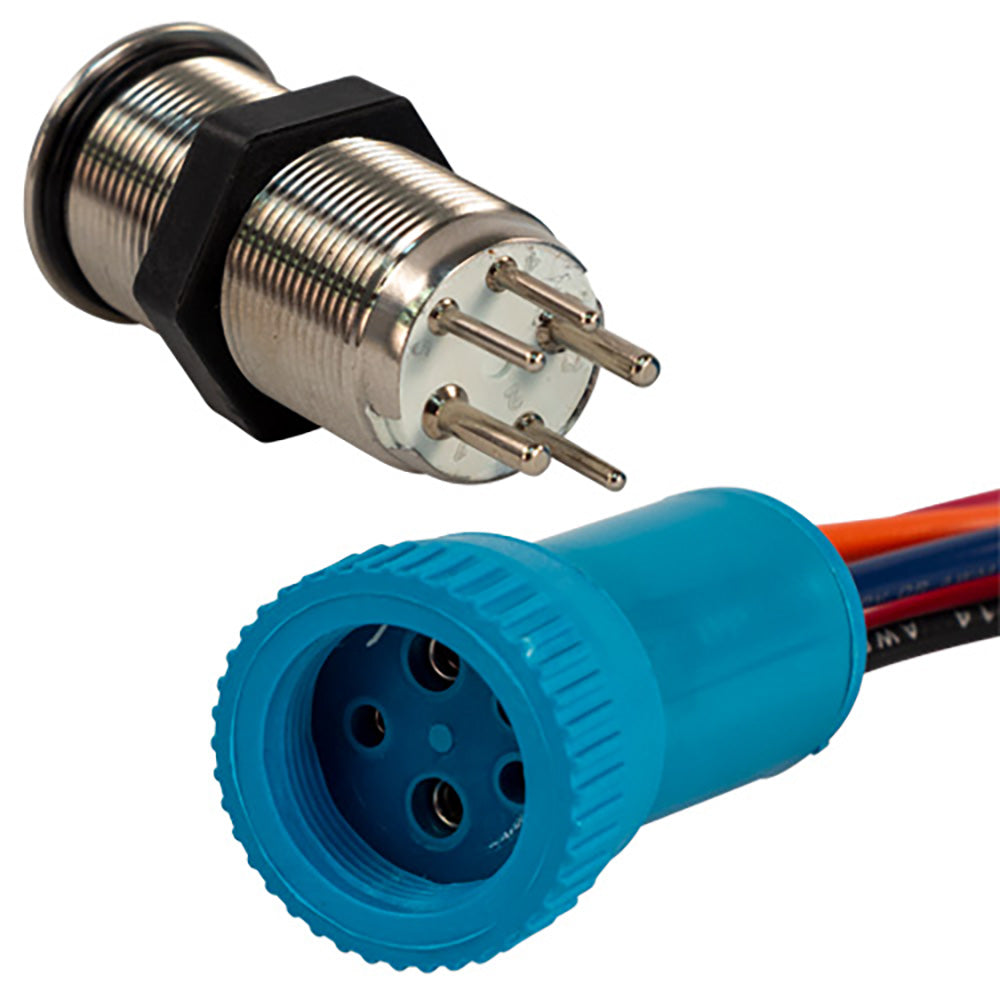 Bluewater 19mm Push Button Switch - Off/On Contact - Blue/Red LED - 1' Lead [9057-1113-1] - Premium Switches & Accessories from Bluewater - Just $40.99! 