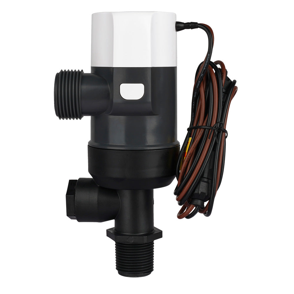 Commodore 1100 GPH Vertical Livewell Pump - Short - 12V [CM-D31-1100L] - Premium Livewell Pumps from Commodore - Just $59.99! 