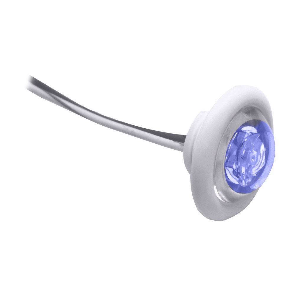 Innovative Lighting LED Bulkhead/Livewell Light "The Shortie" Blue LED w/ White Grommet [011-2540-7] - 1st Class Eligible, Brand_Innovative Lighting, Lighting, Lighting | Interior / Courtesy Light - Innovative Lighting - Interior / Courtesy Light