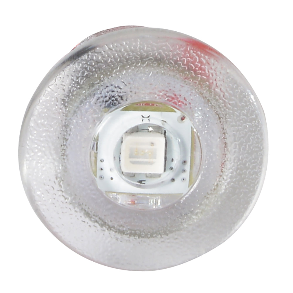 Lumitec Newt - Livewell & Courtesy Light - White Dimming [101084] - Premium Interior / Courtesy Light from Lumitec - Just $15.99! Shop now at Boat Gear Depot