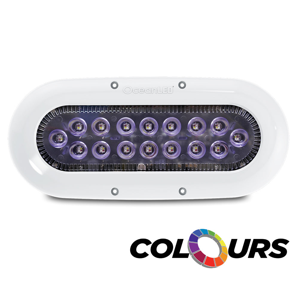 Ocean LED X-Series X16 - Colors LEDs [012311C] - Brand_OceanLED, Lighting, Lighting | Underwater Lighting - OceanLED - Underwater Lighting